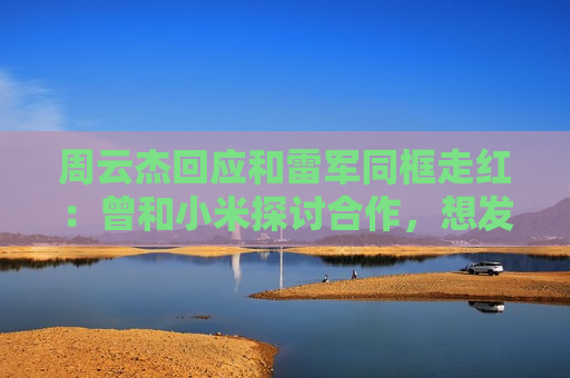 周云杰回应和雷军同框走红：曾和小米探讨合作，想发掘有才网友当代言人  第1张