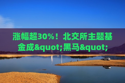 涨幅超30%！北交所主题基金成"黑马"