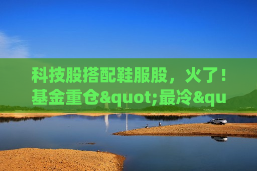 科技股搭配鞋服股，火了！基金重仓"最冷"赛道图啥？
