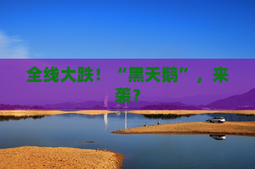 全线大跌！“黑天鹅”，来袭？