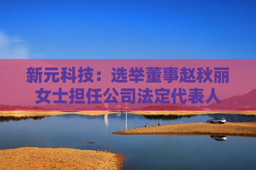 新元科技：选举董事赵秋丽女士担任公司法定代表人