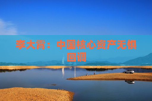 李大霄：中国核心资产无惧回调
