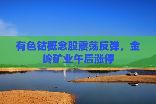 有色钴概念股震荡反弹，金岭矿业午后涨停  第1张