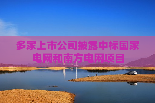 多家上市公司披露中标国家电网和南方电网项目
