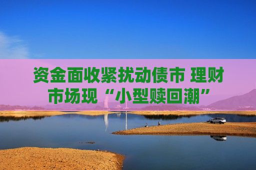 资金面收紧扰动债市 理财市场现“小型赎回潮”