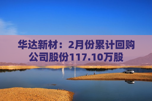 华达新材：2月份累计回购公司股份117.10万股