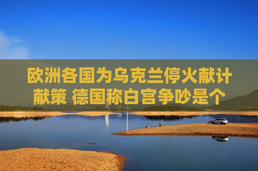 欧洲各国为乌克兰停火献计献策 德国称白宫争吵是个预设的陷阱