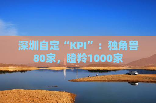 深圳自定“KPI”：独角兽80家，瞪羚1000家