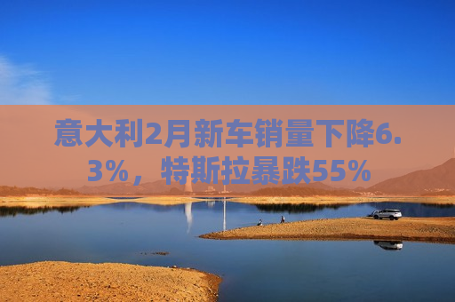意大利2月新车销量下降6.3%，特斯拉暴跌55%
