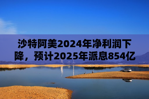 沙特阿美2024年净利润下降，预计2025年派息854亿美元
