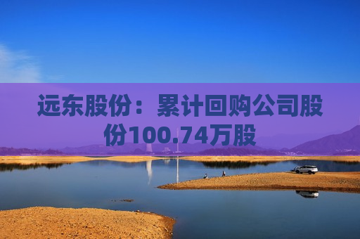 远东股份：累计回购公司股份100.74万股