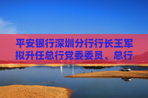 平安银行深圳分行行长王军拟升任总行党委委员、总行行长助理