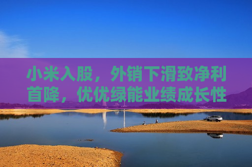 小米入股，外销下滑致净利首降，优优绿能业绩成长性遭质疑