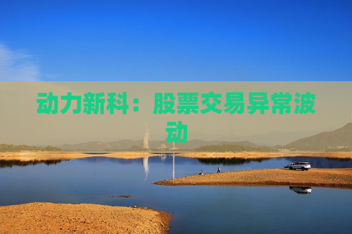 动力新科：股票交易异常波动