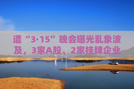 遭“3·15”晚会曝光乱象波及，3家A股、2家挂牌企业收监管问询函
