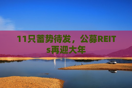11只蓄势待发，公募REITs再迎大年
