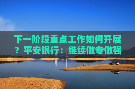 下一阶段重点工作如何开展？平安银行：继续做专做强投资、交易和客户业务