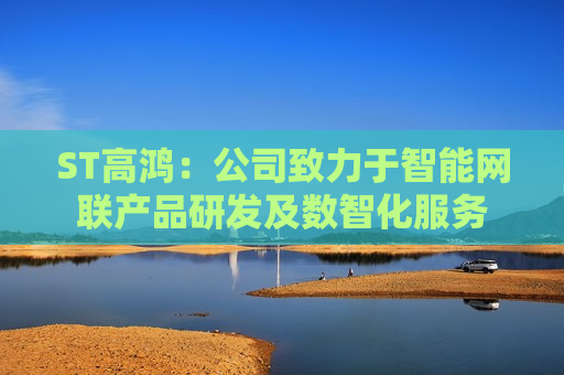 ST高鸿：公司致力于智能网联产品研发及数智化服务  第1张