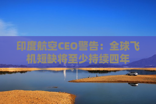 印度航空CEO警告：全球飞机短缺将至少持续四年