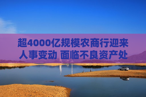 超4000亿规模农商行迎来人事变动 面临不良资产处置压力  第1张