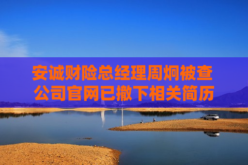 安诚财险总经理周炯被查 公司官网已撤下相关简历
