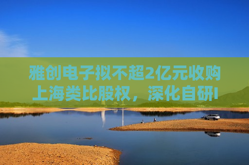 雅创电子拟不超2亿元收购上海类比股权，深化自研IC业务布局