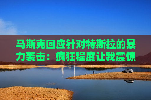 马斯克回应针对特斯拉的暴力袭击：疯狂程度让我震惊