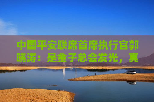 中国平安联席首席执行官郭晓涛：是金子总会发光，真正的核心价值会被市场看到