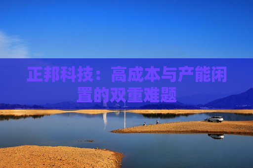 正邦科技：高成本与产能闲置的双重难题