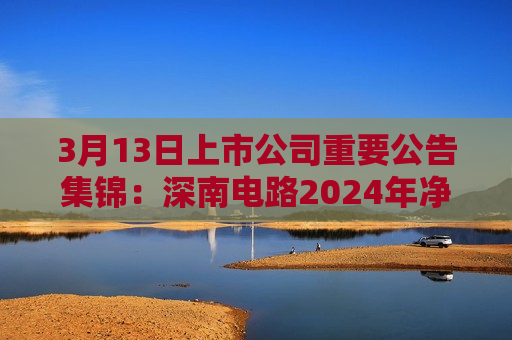 3月13日上市公司重要公告集锦：深南电路2024年净利润同比增长34.29%