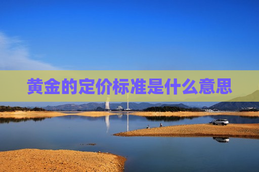 黄金的定价标准是什么意思