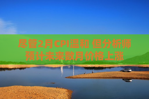 尽管2月CPI温和 但分析师预计未来数月价格上涨