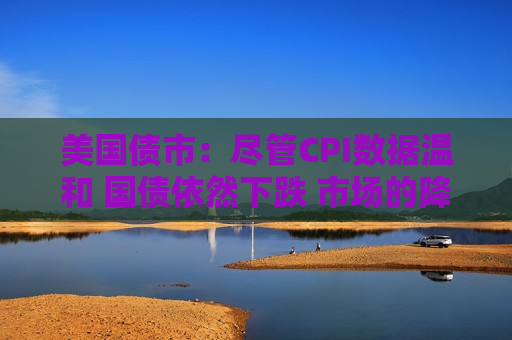 美国债市：尽管CPI数据温和 国债依然下跌 市场的降息押注减弱  第1张
