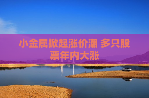 小金属掀起涨价潮 多只股票年内大涨