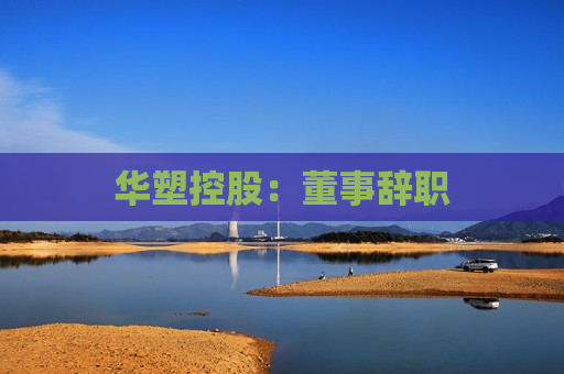 华塑控股：董事辞职