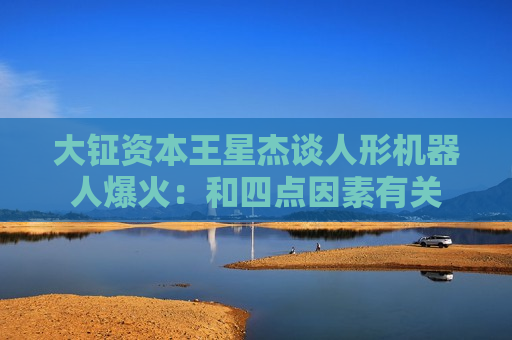 大钲资本王星杰谈人形机器人爆火：和四点因素有关