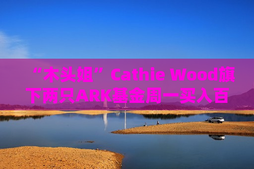 “木头姐”Cathie Wood旗下两只ARK基金周一买入百度ADR