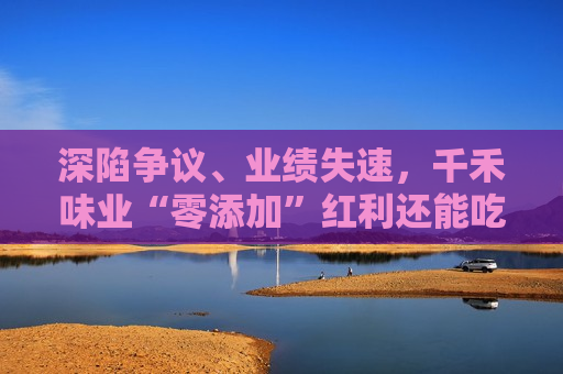 深陷争议、业绩失速，千禾味业“零添加”红利还能吃多久  第1张