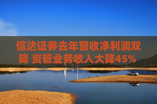 信达证券去年营收净利润双降 资管业务收入大降45% 业务结构愈发同质化  第1张