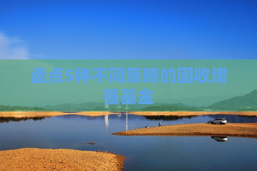 盘点5种不同策略的固收增强基金