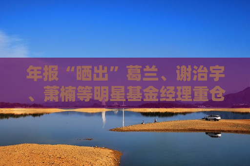 年报“晒出”葛兰、谢治宇、萧楠等明星基金经理重仓动向
