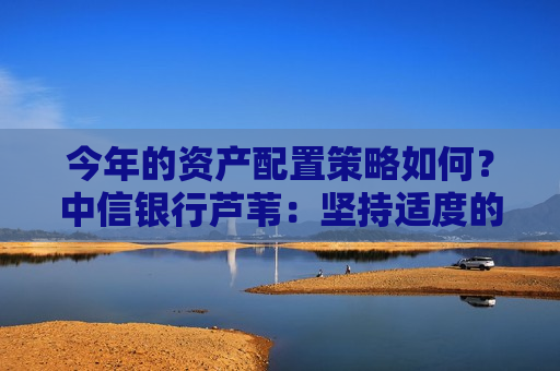 今年的资产配置策略如何？中信银行芦苇：坚持适度的规模增长，重在优化结构