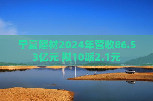 宁夏建材2024年营收86.53亿元 拟10派2.1元
