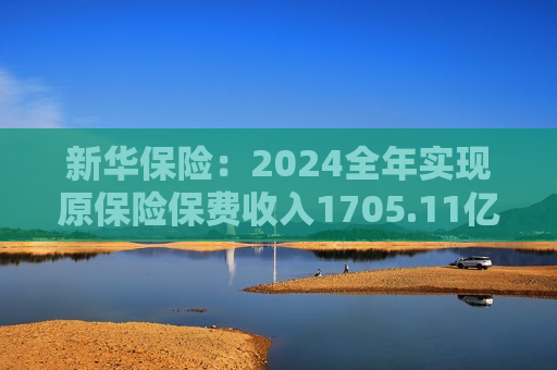 新华保险：2024全年实现原保险保费收入1705.11亿元 同比增长2.8%