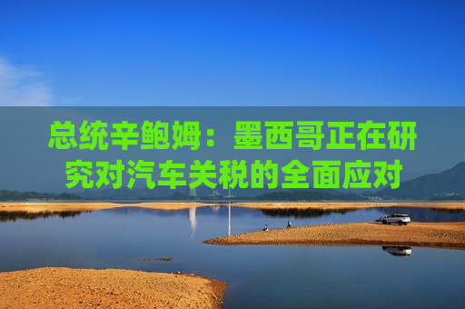 总统辛鲍姆：墨西哥正在研究对汽车关税的全面应对
