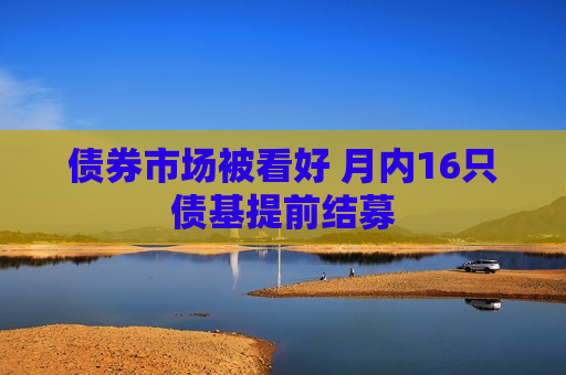 债券市场被看好 月内16只债基提前结募