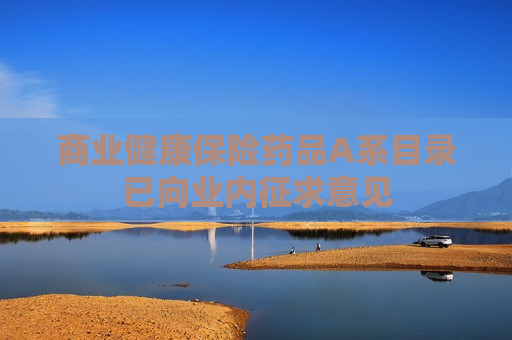 商业健康保险药品A系目录已向业内征求意见