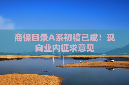 商保目录A系初稿已成！现向业内征求意见