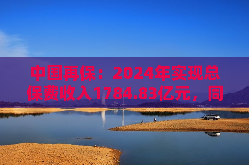 中国再保：2024年实现总保费收入1784.83亿元，同比增长0.9%