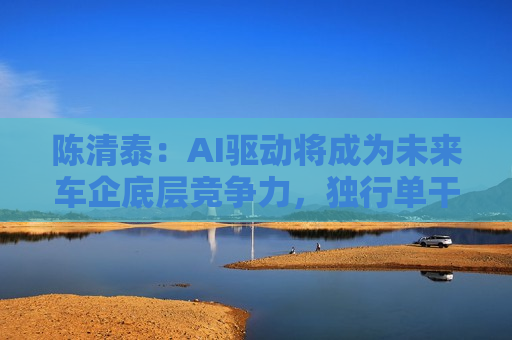 陈清泰：AI驱动将成为未来车企底层竞争力，独行单干面临很大困难